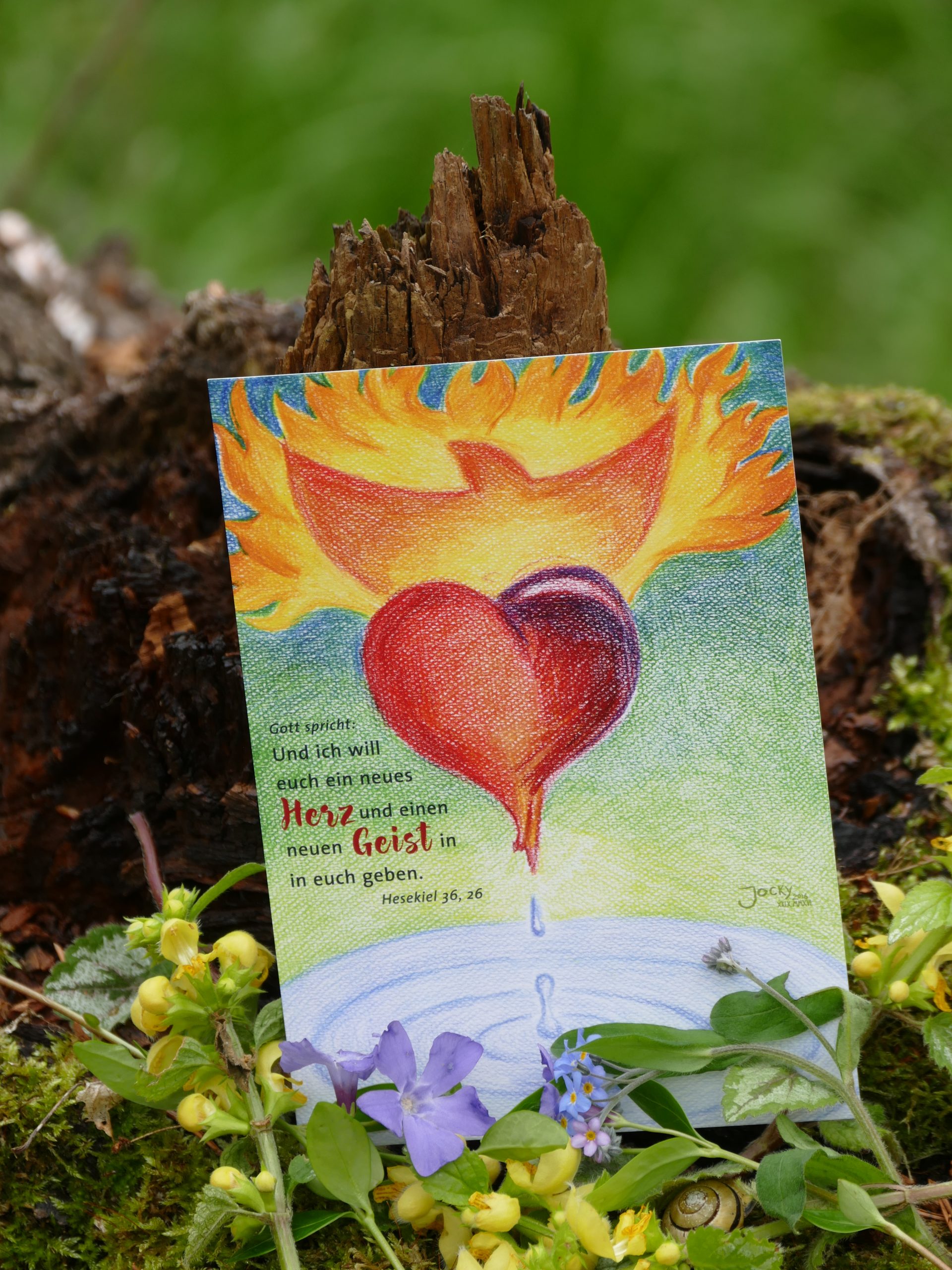 Postkarte: Neues Herz, neuer Geist (Foto)