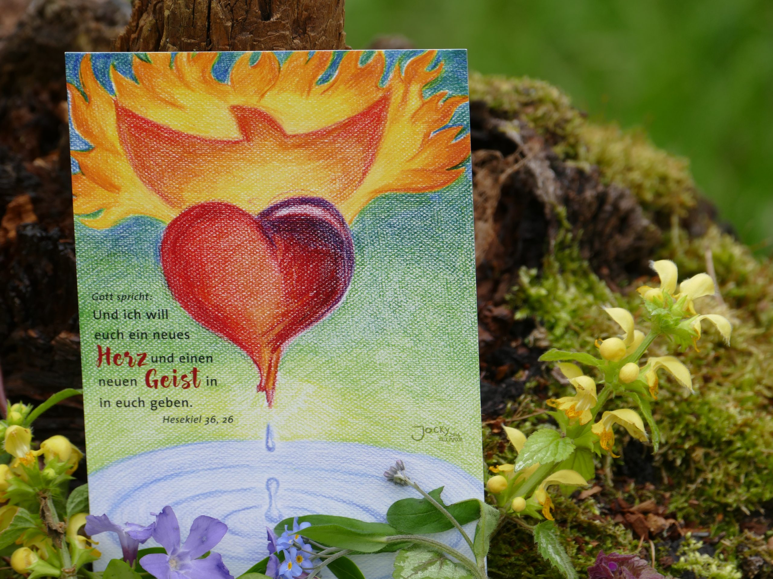 Postkarte: Neues Herz, neuer Geist (Foto)