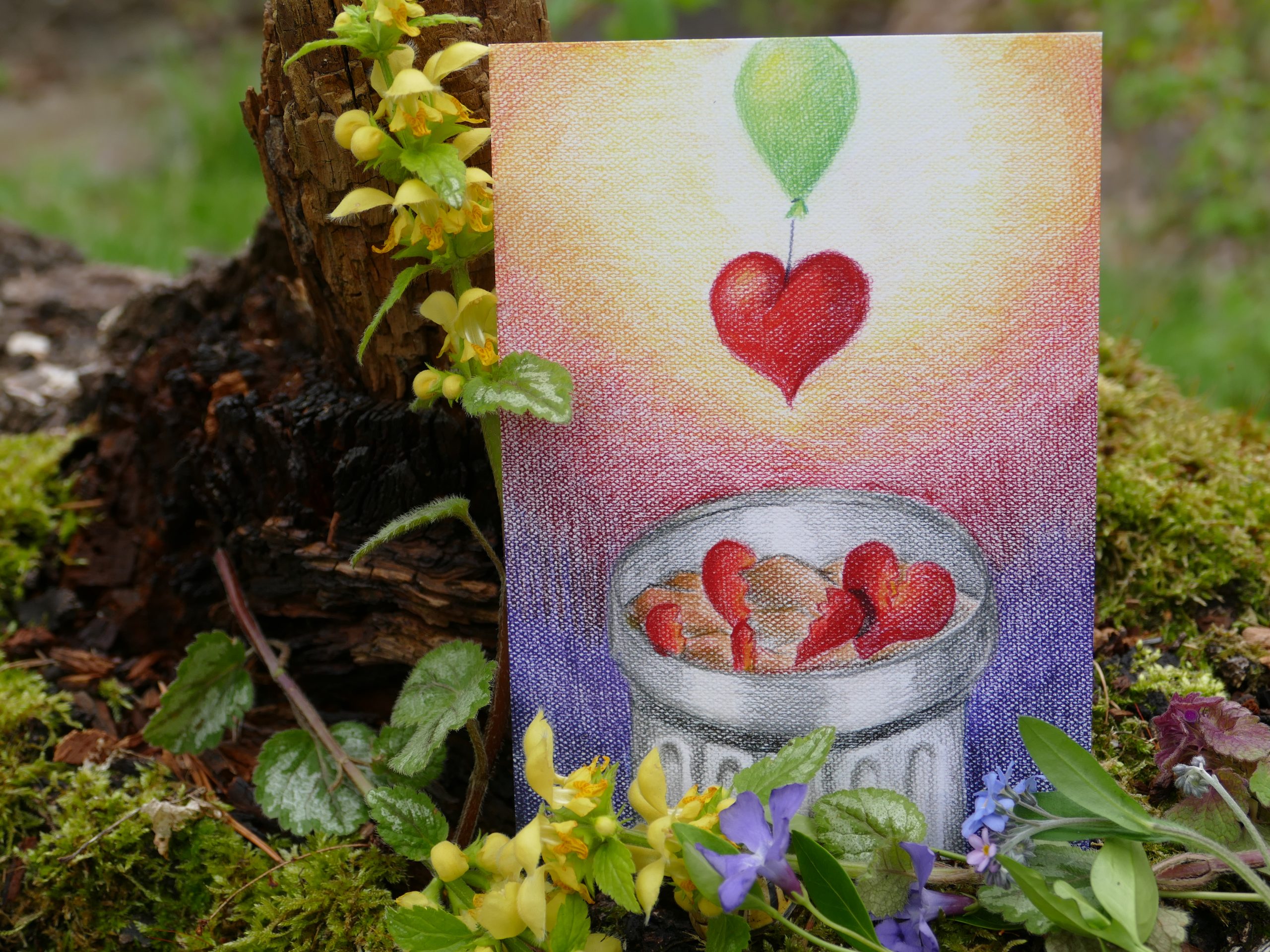 Postkarte: Wiederherstellung der Herzen (Foto)