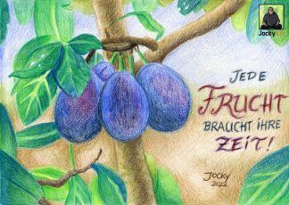 Jede braucht seine Zeit